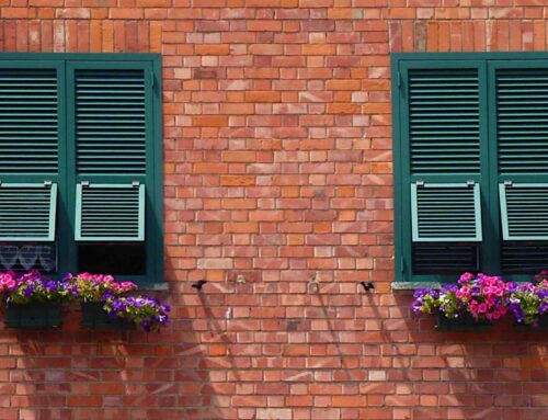 Sguardi su Falchera. La Visione dell’Invisibile. Venerdì 16 maggio 2025